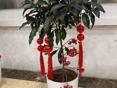 -上海市静安区图书馆(新闸路馆)