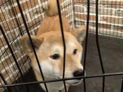 -呼吸沉浸式剧场(甘露园店)