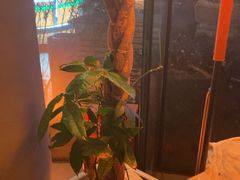 -Ministry of Crab•MOC(交子大道店)