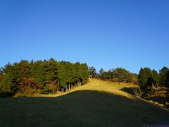 -神户市立六甲山牧场