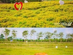 -盈香心动乐园