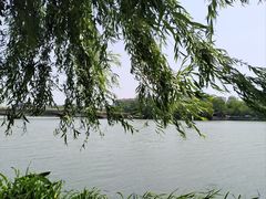 -南通濠河风景名胜区