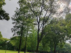 -新洲生态园