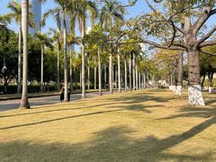 -厦门大学(思明校区)