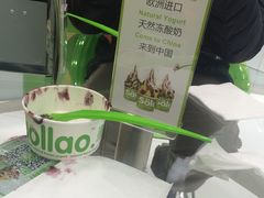 -Salud撒露欧洲冻酸奶(北苑上品店)