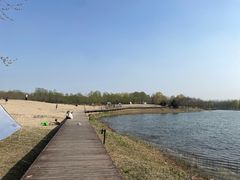 -东郊湿地公园