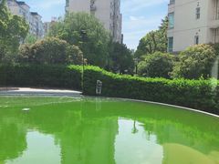 -星视野儿童近视弱视视力训练中心(富荟店)