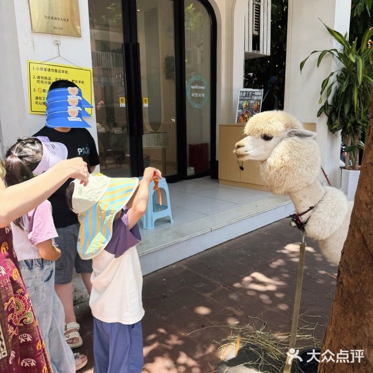 来版纳[泰椰天香]就能尝遍六国料理!🎉