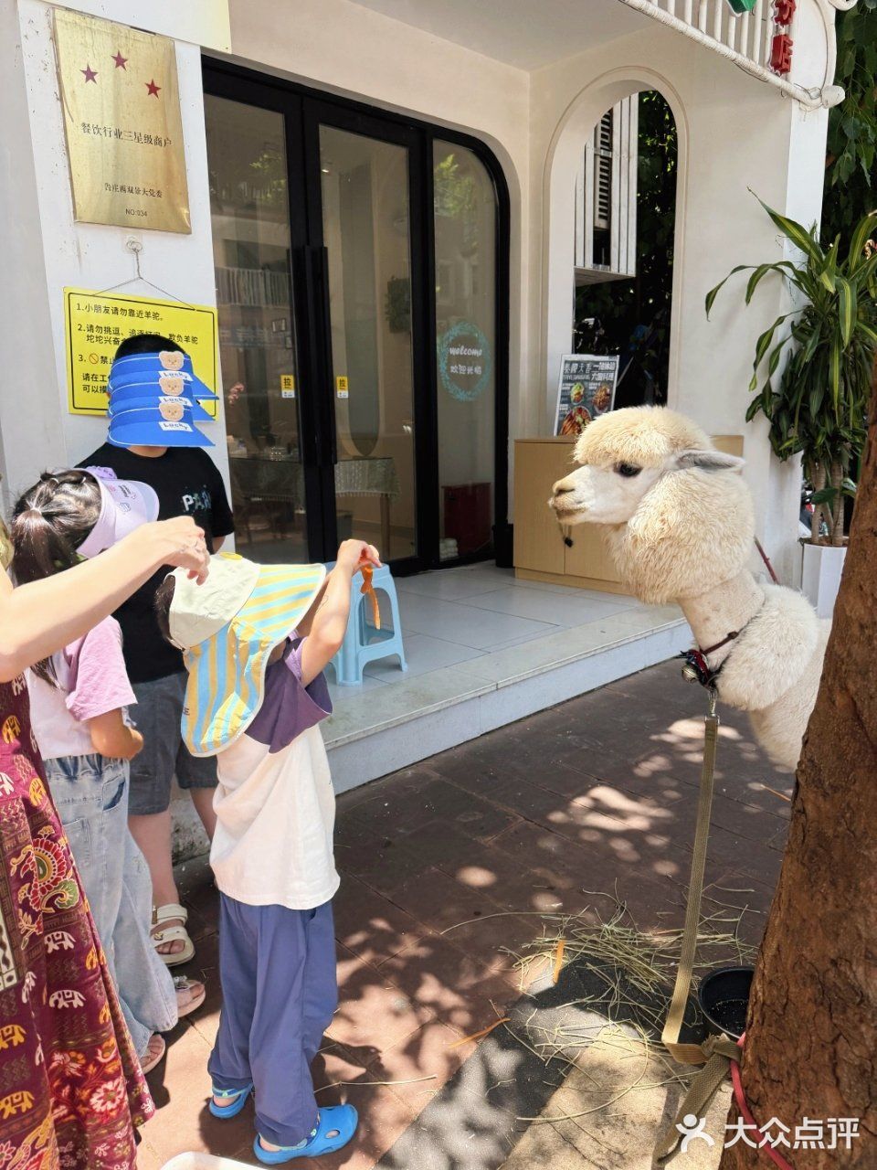 来版纳[泰椰天香]就能尝遍六国料理!🎉