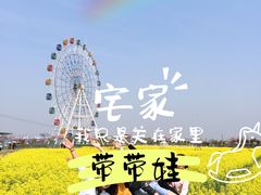 -金卉庄园