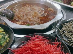 -新乡杨记红焖羊肉火锅(天坛南门店)
