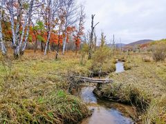 -塞罕坝国家级自然保护区