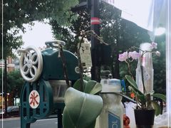 -陈记栗子(长宁路店)