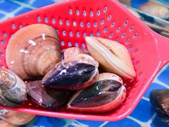 -巽寮印象美食部落餐厅·海鲜·地方特色菜(惠州体验店)