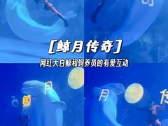 -海合安天津极地海洋公园