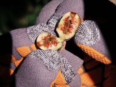 -海南热带雨林国家公园吊罗山景区