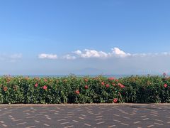 -深圳湾公园(南山区)