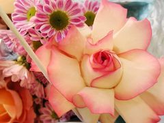 -怡花宜木鲜花店(朝阳路店)
