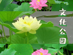 -成都市文化公园