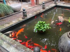 -野蔓果·山野菜(西湖景区·龙井茶田店)