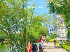 -晓港公园