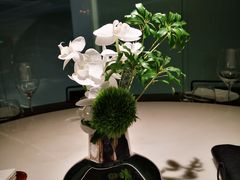 -CHIC1699远洋私厨