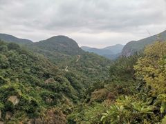 -九鲤湖风景区