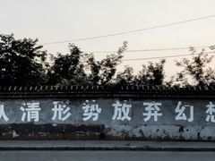 -鹤乡东北菜(崮山路店)