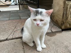-北京张裕爱斐堡酒庄