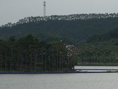 景点-美的鹭湖森林度假区