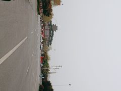 -祥源·阜阳生态乐园