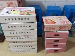 -老袁家蜜桃农场·阳山水蜜桃