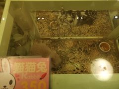 -龙猫仔乐园(惠福东路店)