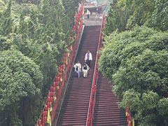 -姑婆山旅游区