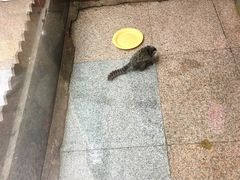 -上海大自然野生昆虫馆(东方明珠·爬宠昆虫探索中心)