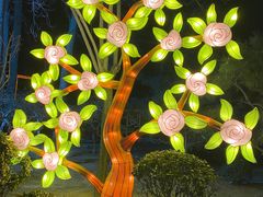 -南宫五洲植物乐园