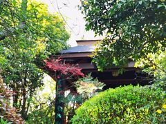 -桃花岛景观公园