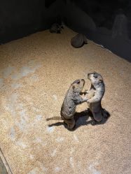 -酷嗒动物文化乐园(cutezoo西溪乐天城店)