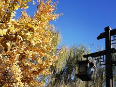 -西安汉城湖景区