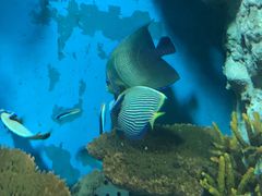 -福州罗源湾海洋世界旅游区