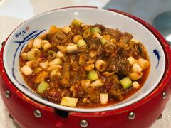 -院8里·少城记忆老川菜(宽窄巷子店)