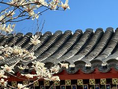 -北京古城老院厉晓麟精致菜