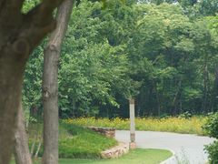 -盘龙城国家考古遗址公园