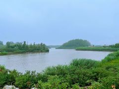 -塘沽森林公园