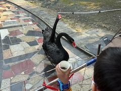 -常州花鸟园酒店(西太湖品牌优选店)