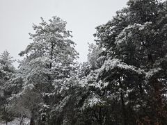 -广元曾家山国际滑雪场