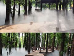 -东湖落雁景区