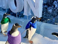 -波塞冬旅游度假区