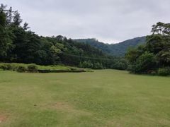 -南宁良凤江国家森林公园