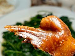 -日日香卤鹅饭店·澄海狮头鹅(澄海店)